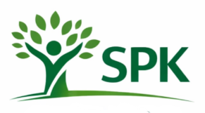 Specialpædagogisk Kompetence